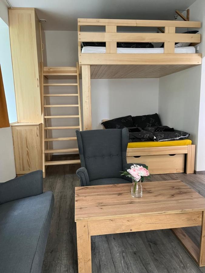 Moderni Apartman Uprostred Sumavske Prirody Zdikovec Exterior photo